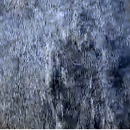 Orlando%20and%20the%20Tempest%20in%20combo%20folders/Noisy%20Orlando%20and%20the%20Need%20(2018)%2012x24%20diptych/Noisy%20Orlando%20and%20the%20Need%20(2018)%2012x24%20diptych%20lef