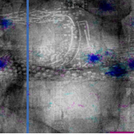 Orlando%20and%20the%20Tempest%20in%20combo%20folders/Orlando%20the%20Oracle%20of%20Thorns%20(2020)%2012x24%20diptych/Orlando%20the%20Oracle%20of%20Thorns%20(2020)%2012x24%20diptych%20righ